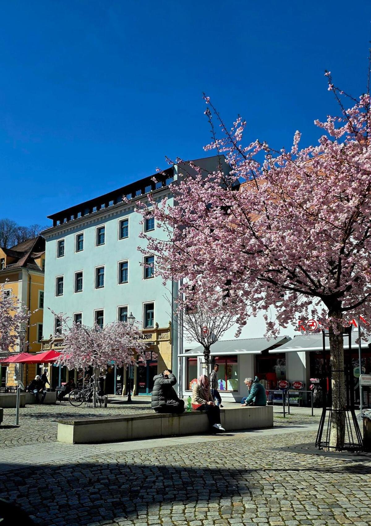 Cozy Pet-Friendly Apartment Meissen Exterior photo